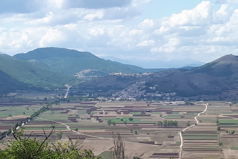- RIPRODUZIONE RISERVATA