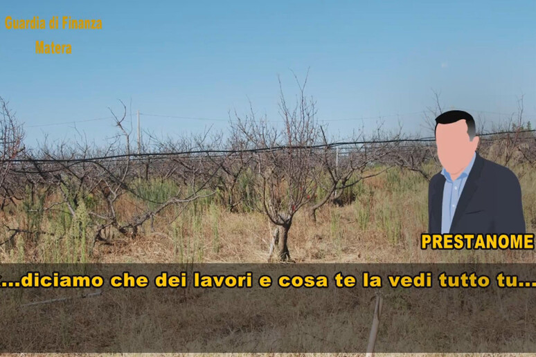 Truffa per fondi pubblici agricoltura, undici ai domiciliari - RIPRODUZIONE RISERVATA
