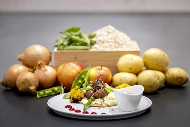 Torna Veganuary, challenge di un gennaio senza carne - RIPRODUZIONE RISERVATA