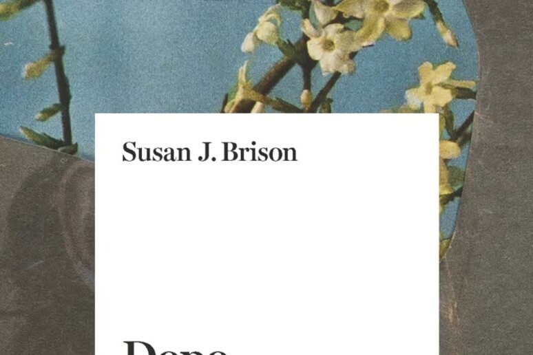 brison - RIPRODUZIONE RISERVATA