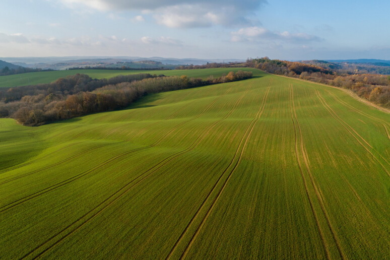 Milleproroghe: alla Camera le novità in Agricoltura - RIPRODUZIONE RISERVATA