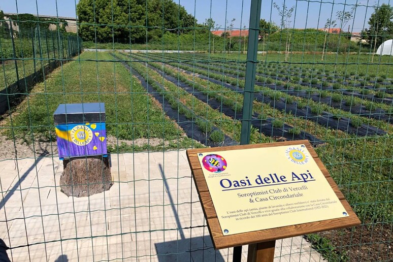 - RIPRODUZIONE RISERVATA