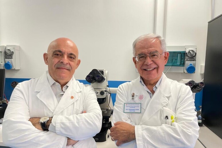 - RIPRODUZIONE RISERVATA