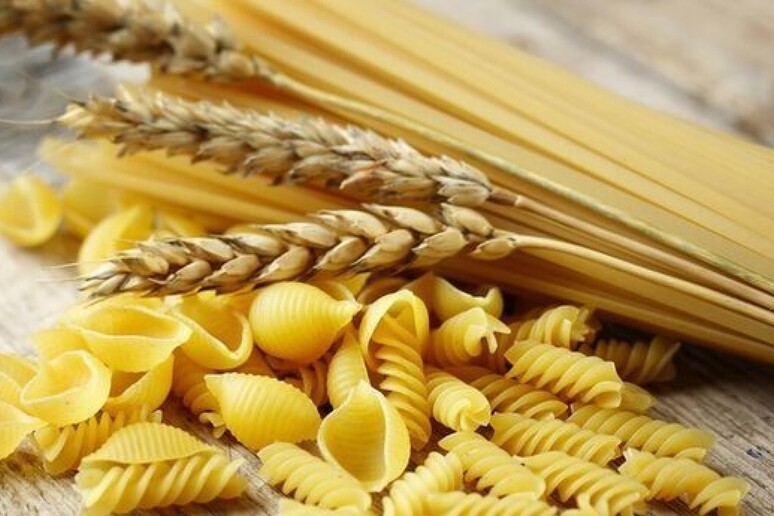 Alcuni formati di pasta (archivio) - RIPRODUZIONE RISERVATA