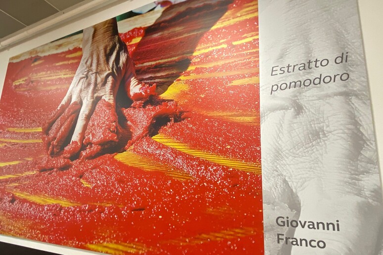 - RIPRODUZIONE RISERVATA