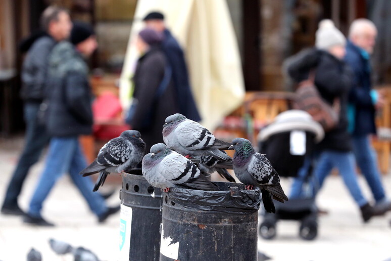 © ANSA/EPA
