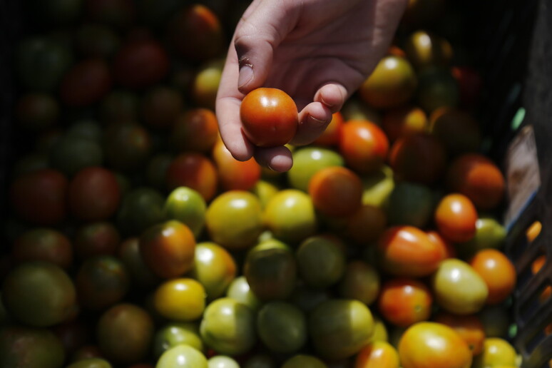 - RIPRODUZIONE RISERVATA