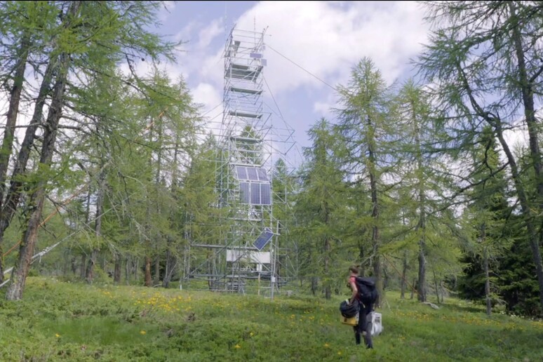 - RIPRODUZIONE RISERVATA