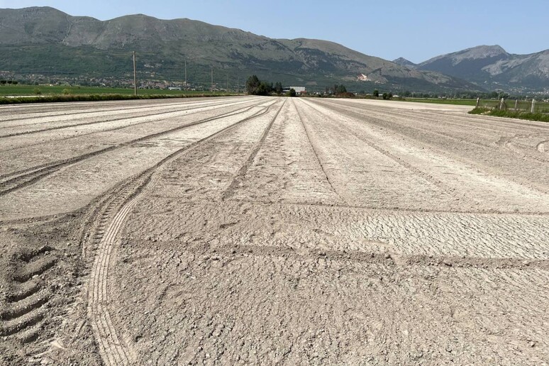 - RIPRODUZIONE RISERVATA