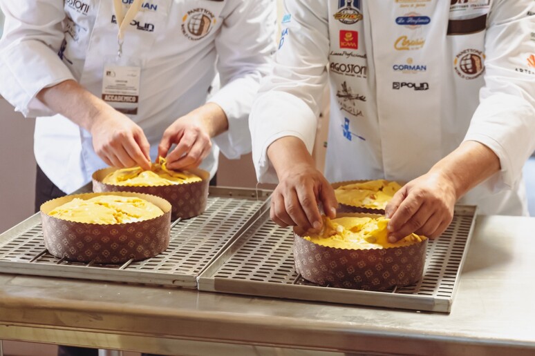 - RIPRODUZIONE RISERVATA