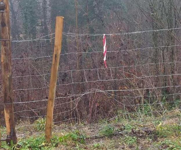 - RIPRODUZIONE RISERVATA