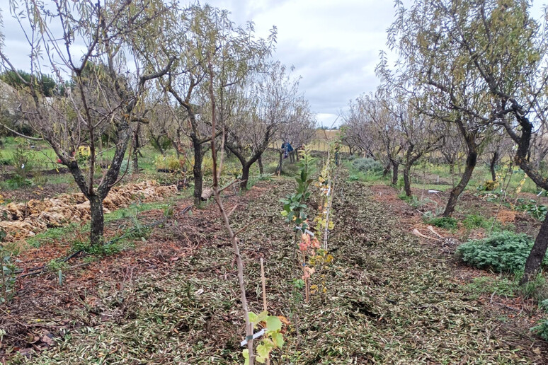 - RIPRODUZIONE RISERVATA