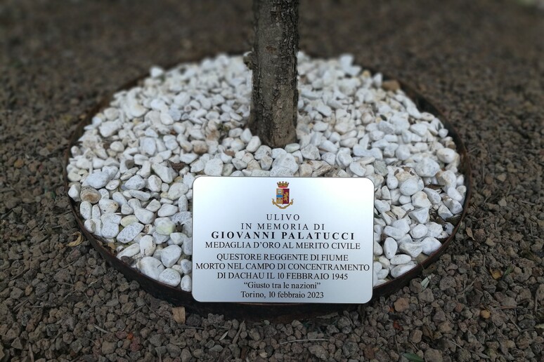 - RIPRODUZIONE RISERVATA