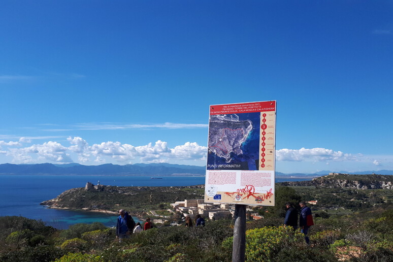 -     RIPRODUZIONE RISERVATA