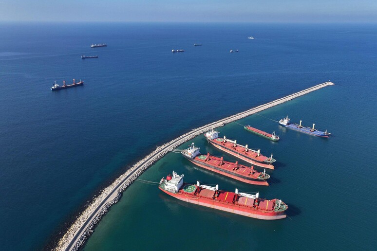 An aerial view shows container ships anchored off the coast of the Syrian port city of Tartus © ANSA/AFP