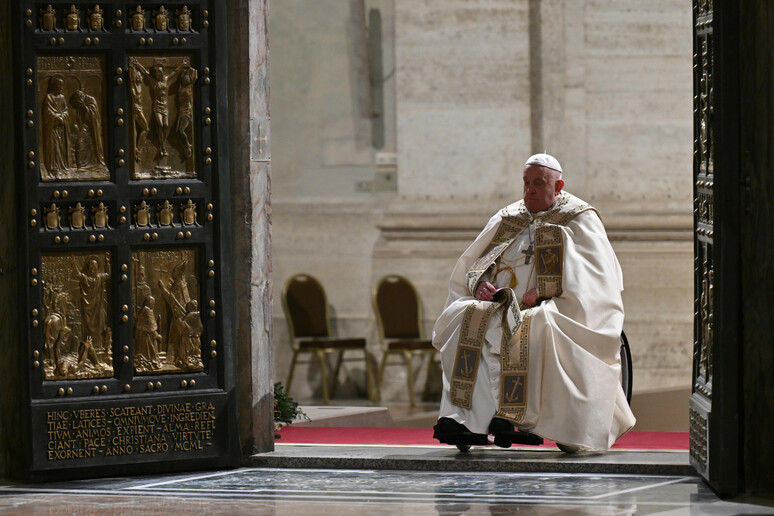 Pope Francis © ANSA/AFP