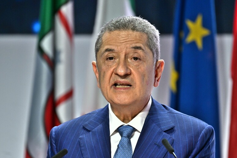 Il governatore della Banca d 'Italia Fabio Panetta - RIPRODUZIONE RISERVATA