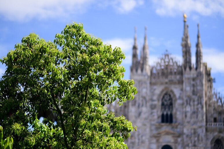 Piazza Duomo a Milano - RIPRODUZIONE RISERVATA