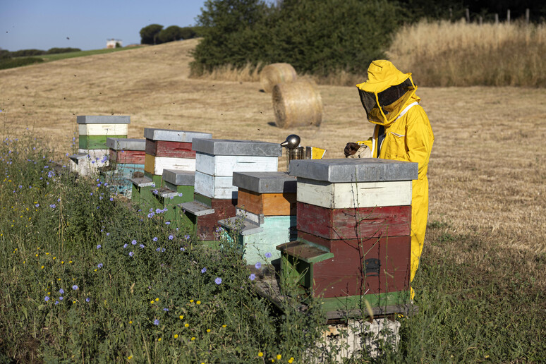 - RIPRODUZIONE RISERVATA