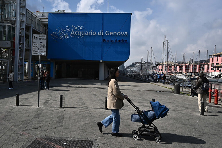 - RIPRODUZIONE RISERVATA