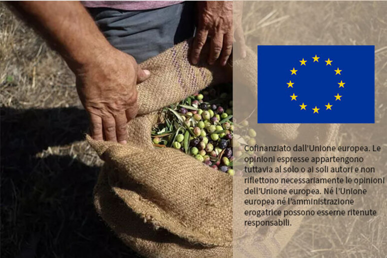 Dall 'Ue flessibilità sui fondi per gli agricoltori di Mayotte - RIPRODUZIONE RISERVATA