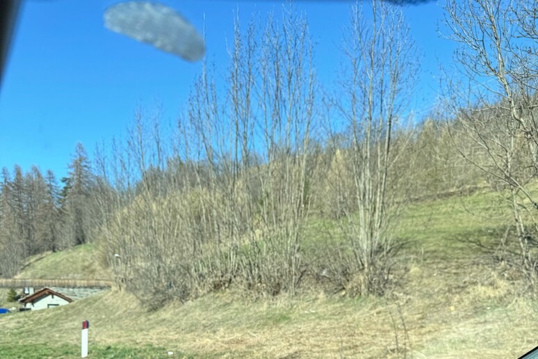 - RIPRODUZIONE RISERVATA
