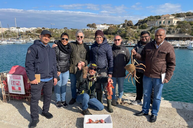 - RIPRODUZIONE RISERVATA