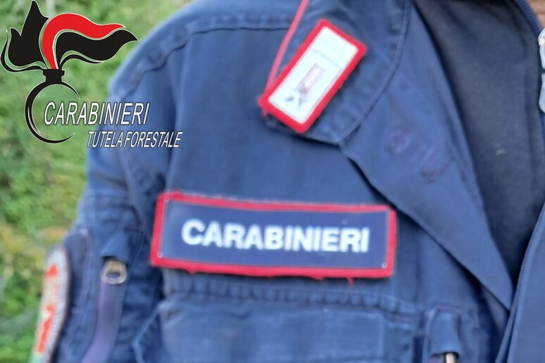 - RIPRODUZIONE RISERVATA