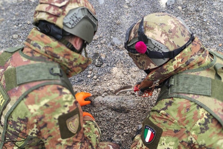 - RIPRODUZIONE RISERVATA