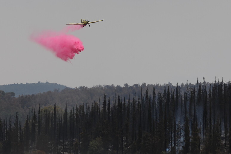 © ANSA/EPA