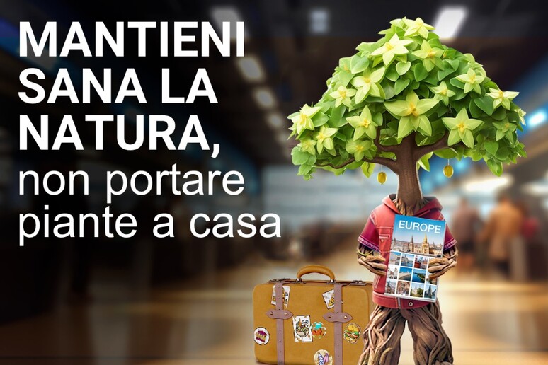 - RIPRODUZIONE RISERVATA