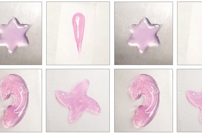 Esempi di strutture in idrogel stampate direttamente nell 'organismo utilizzando gli ultrasuoni (fonte Elham Davoodi e Wei Gao/Caltech) - RIPRODUZIONE RISERVATA
