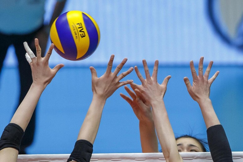 Pallavolo - RIPRODUZIONE RISERVATA