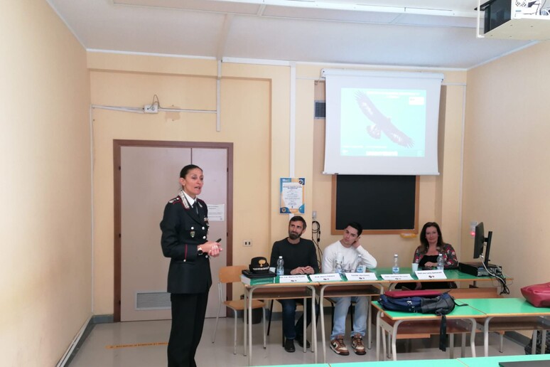 - RIPRODUZIONE RISERVATA