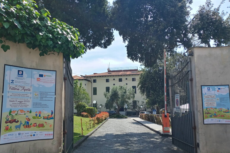 - RIPRODUZIONE RISERVATA