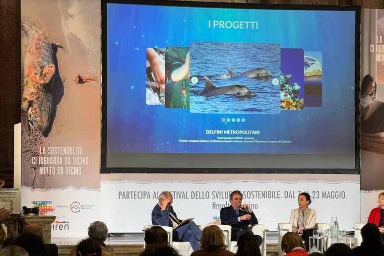 - RIPRODUZIONE RISERVATA